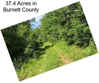 37.4 Acres in Burnett County