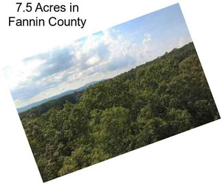 7.5 Acres in Fannin County