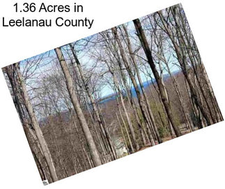 1.36 Acres in Leelanau County