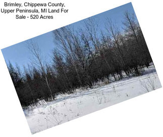 Brimley, Chippewa County, Upper Peninsula, MI Land For Sale - 520 Acres