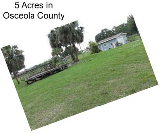 5 Acres in Osceola County