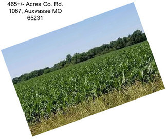 465+/- Acres Co. Rd. 1067, Auxvasse MO 65231