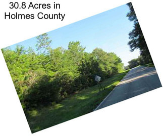 30.8 Acres in Holmes County