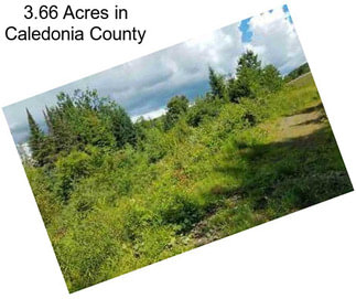 3.66 Acres in Caledonia County