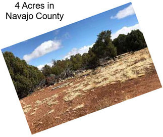 4 Acres in Navajo County