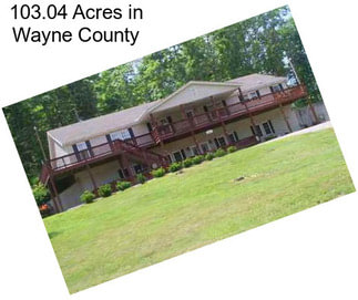 103.04 Acres in Wayne County