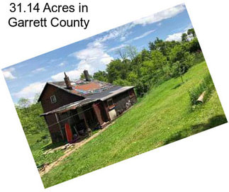 31.14 Acres in Garrett County