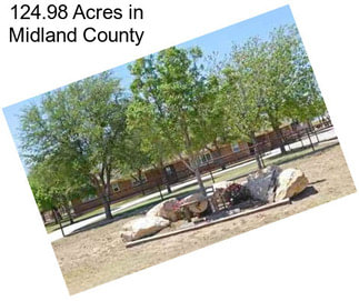 124.98 Acres in Midland County
