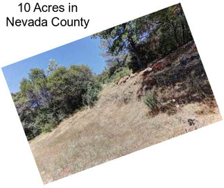 10 Acres in Nevada County