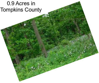 0.9 Acres in Tompkins County