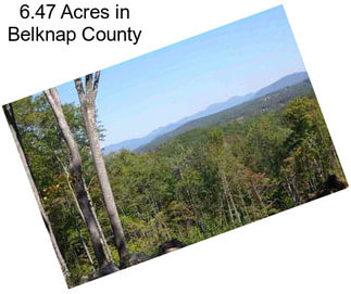 6.47 Acres in Belknap County