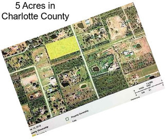 5 Acres in Charlotte County