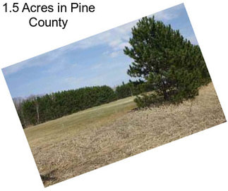 1.5 Acres in Pine County