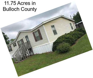 11.75 Acres in Bulloch County