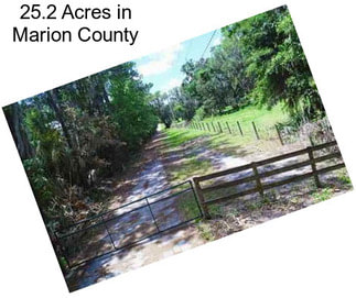 25.2 Acres in Marion County