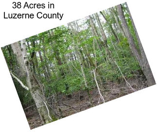 38 Acres in Luzerne County