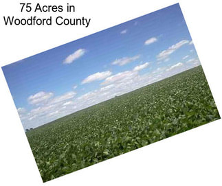 75 Acres in Woodford County