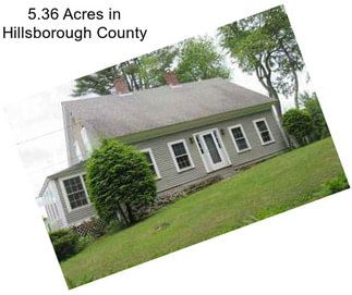5.36 Acres in Hillsborough County