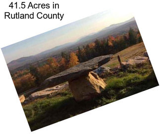 41.5 Acres in Rutland County