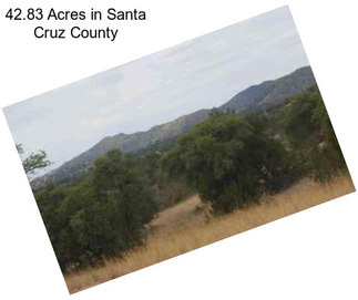 42.83 Acres in Santa Cruz County