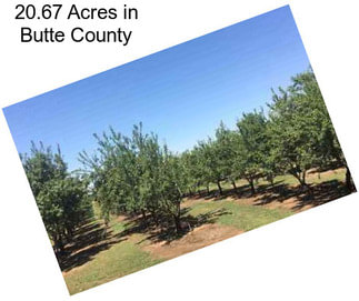 20.67 Acres in Butte County