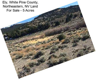 Ely, White Pine County, Northeastern, NV Land For Sale - 5 Acres