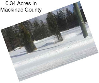0.34 Acres in Mackinac County
