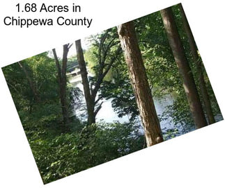 1.68 Acres in Chippewa County