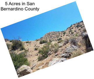 5 Acres in San Bernardino County