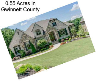 0.55 Acres in Gwinnett County