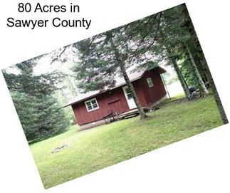 80 Acres in Sawyer County