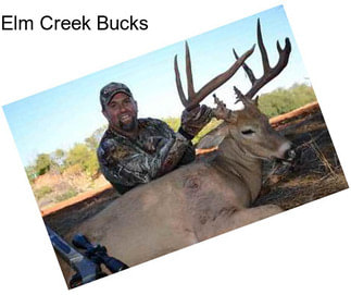 Elm Creek Bucks