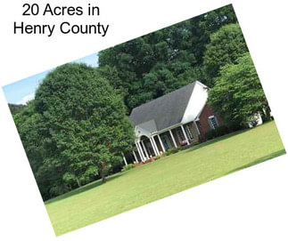 20 Acres in Henry County