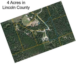 4 Acres in Lincoln County