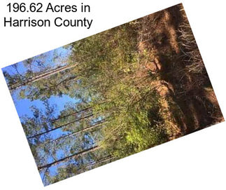 196.62 Acres in Harrison County