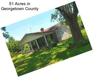 51 Acres in Georgetown County