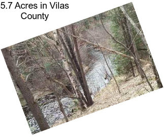 5.7 Acres in Vilas County