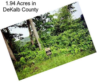 1.94 Acres in DeKalb County