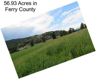 56.93 Acres in Ferry County