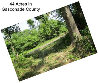 44 Acres in Gasconade County