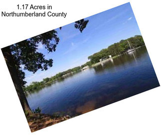 1.17 Acres in Northumberland County