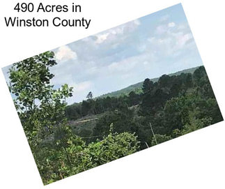 490 Acres in Winston County