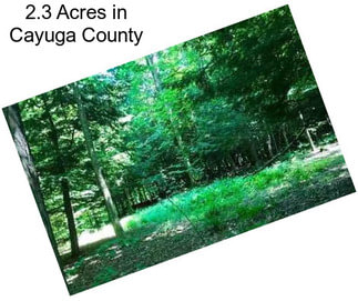 2.3 Acres in Cayuga County