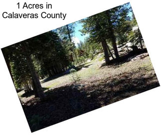 1 Acres in Calaveras County