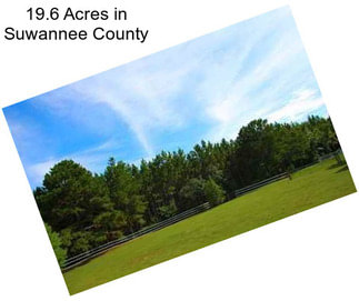 19.6 Acres in Suwannee County