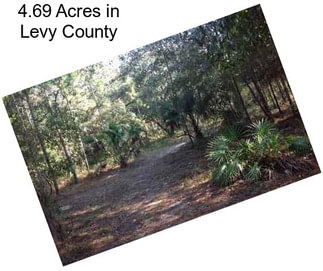 4.69 Acres in Levy County