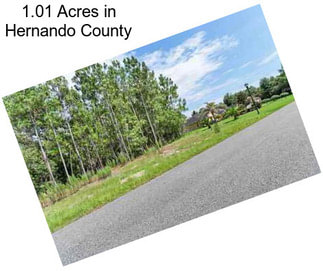 1.01 Acres in Hernando County