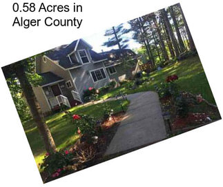 0.58 Acres in Alger County