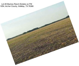 Lot 28 Mackey Ranch Estates on FM 1954, Archer County, Holliday, TX 76366