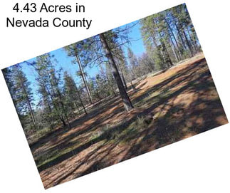 4.43 Acres in Nevada County